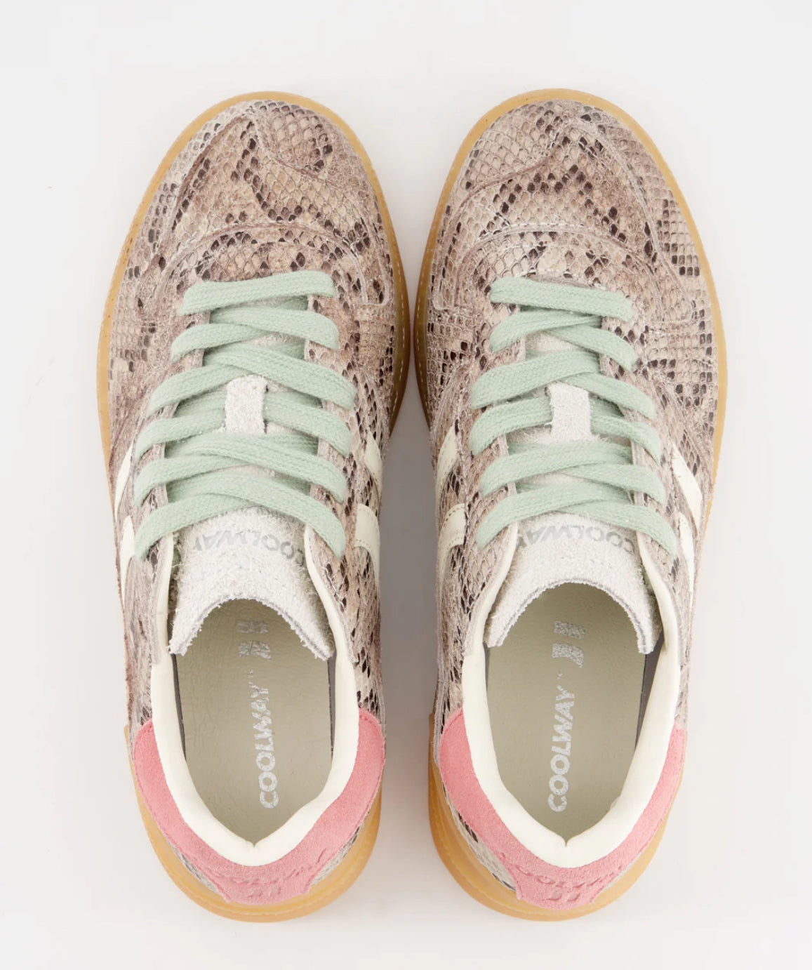 Coolway Goal Roar Flux