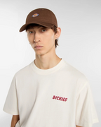 Dickies gorra new era marrón