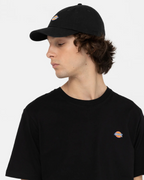 Dickies gorra negra