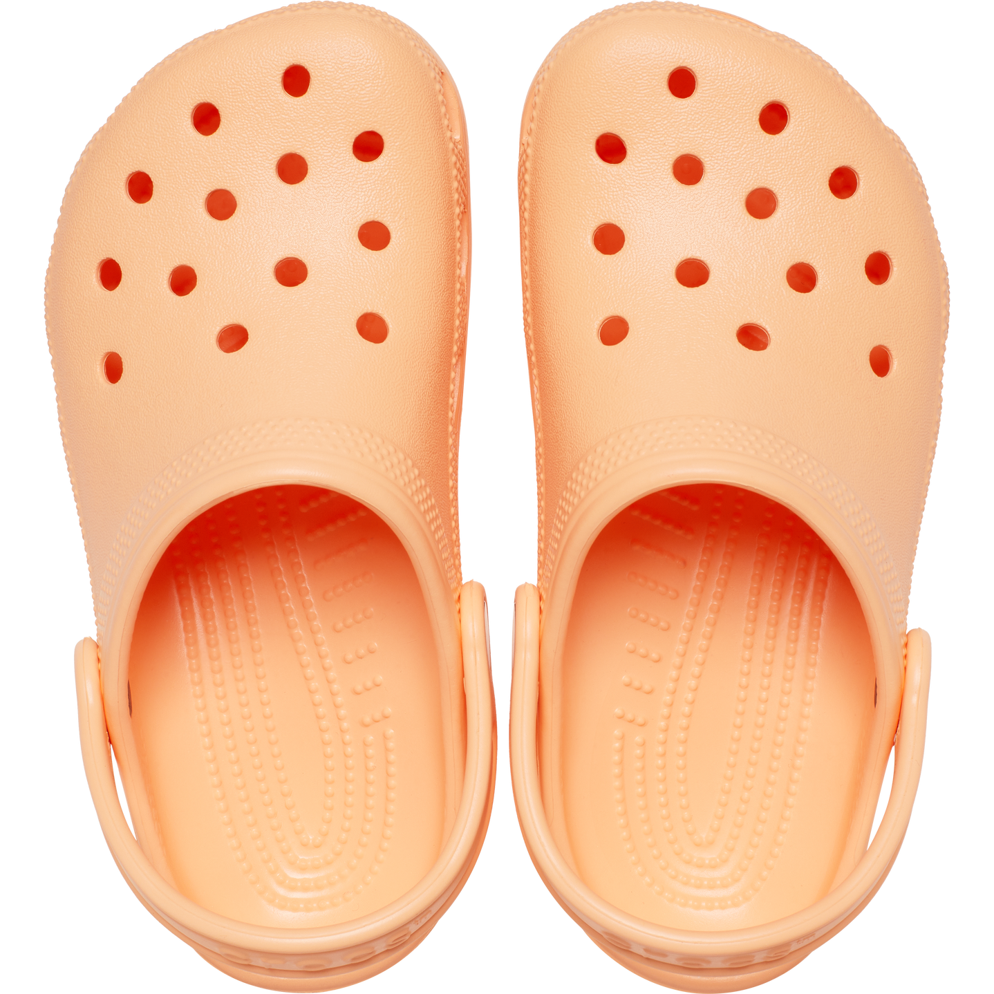 Crocs Clasicas Electric Sunstone Unisex