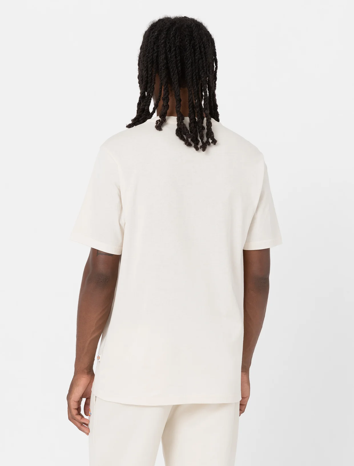 Dickies Camiseta ligera Mapleton Gris