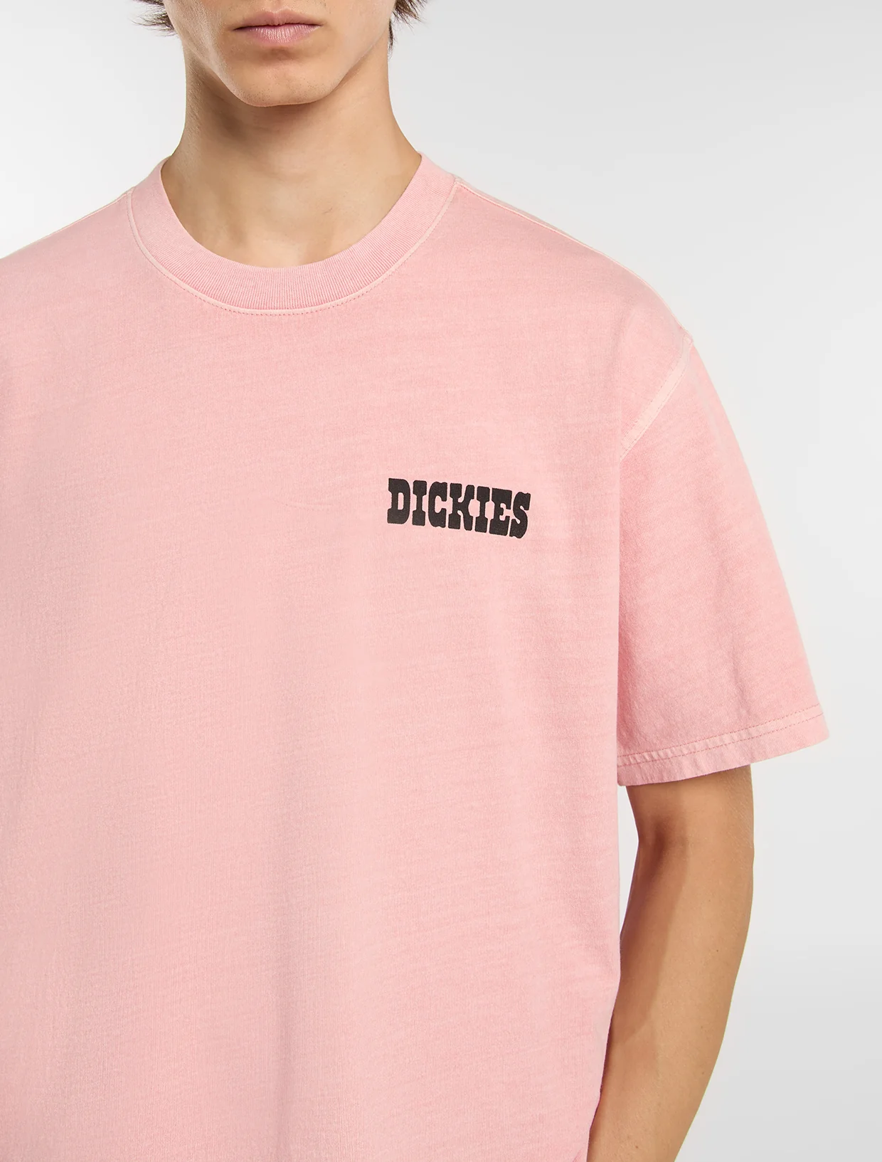 Dickies Camiseta de peso medio Buchtell Pink
