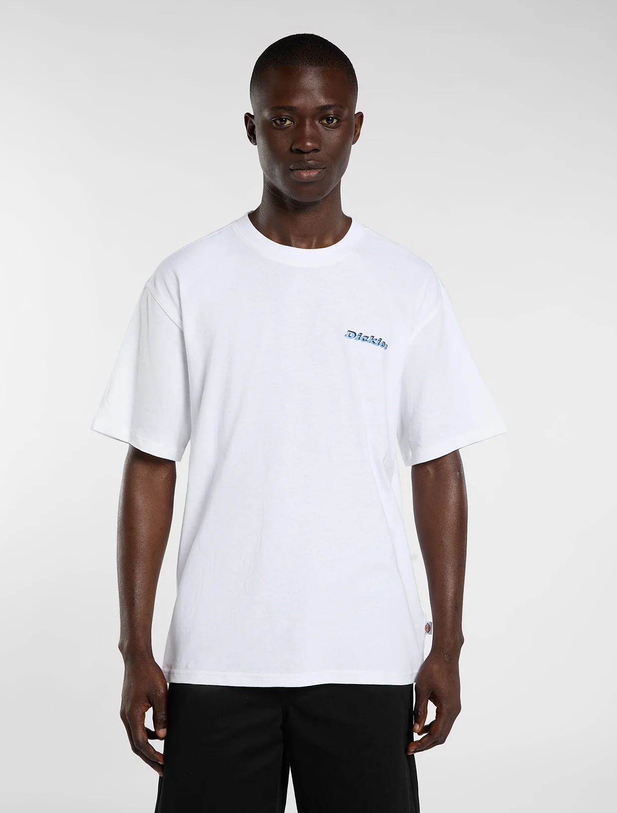 Dickies Camiseta ligera Thornville